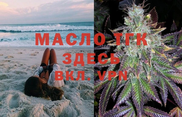 дживик Богородицк