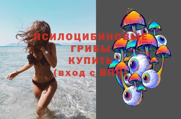 PSILOCYBIN Белоозёрский