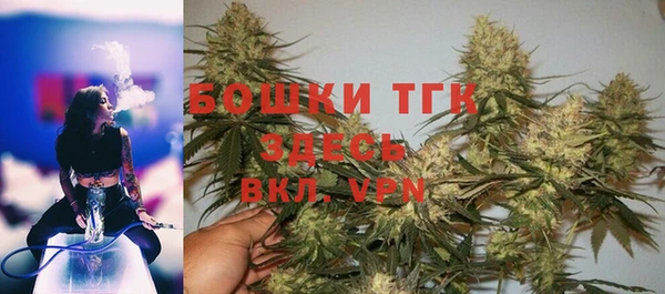 дживик Богородицк