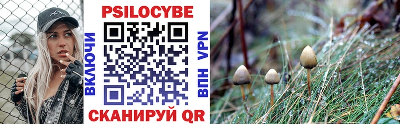 Галлюциногенные грибы Psilocybine cubensis MEGA ONION Бутурлиновка